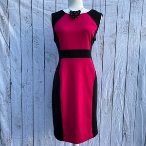 💗Pink & Black CK Sheath Dress sz 12